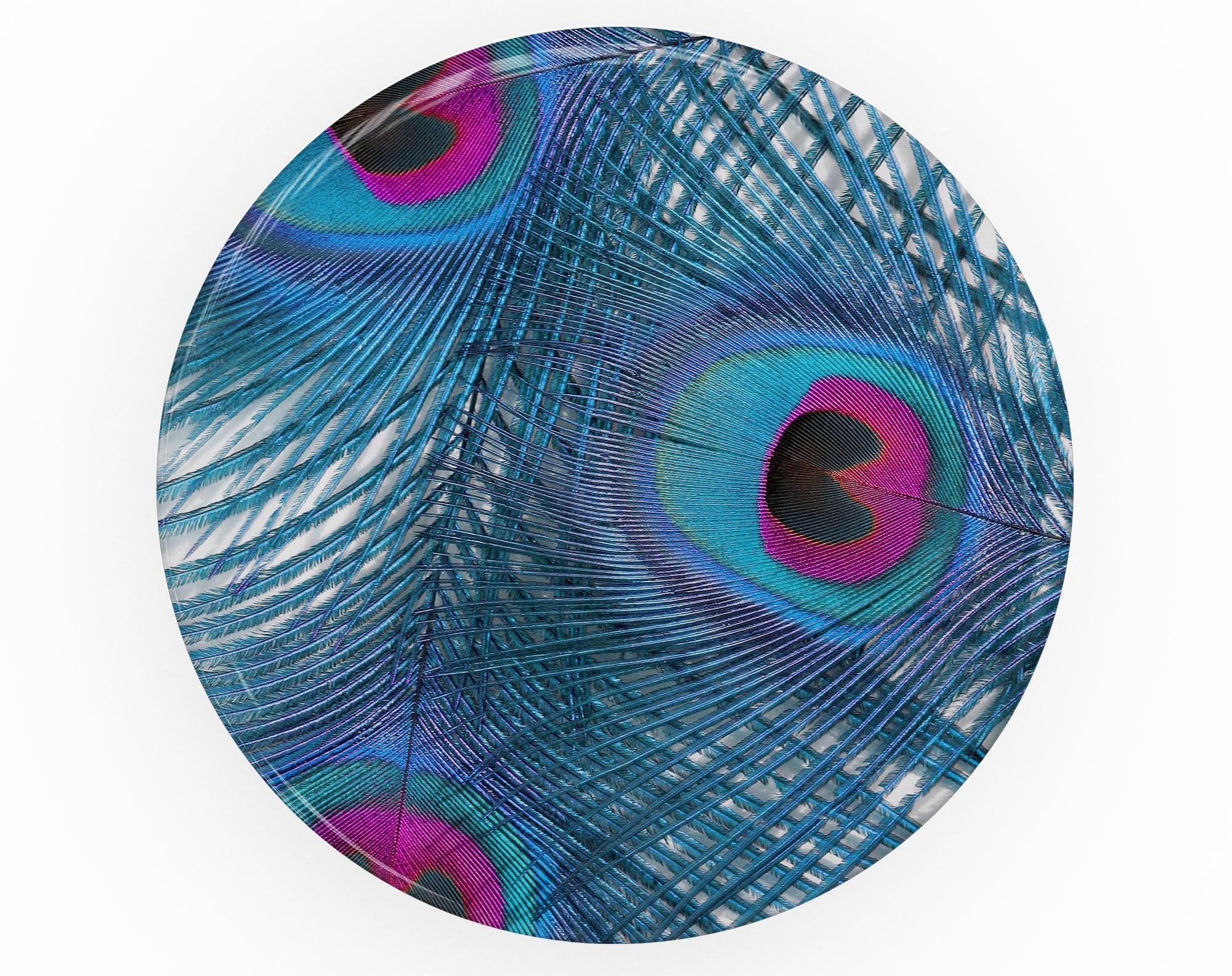 Blue Peacock - Skin Kit for PopSockets and other Smartphone Extendable